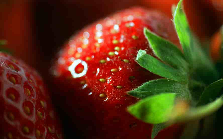 fraise