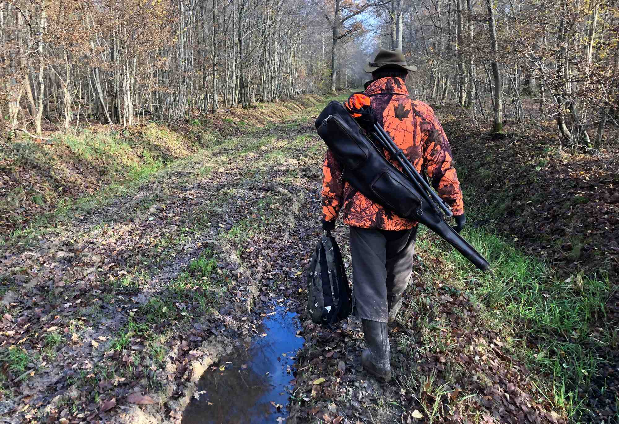 Un chasseur dans la foret de ferrieres, a pontcarre