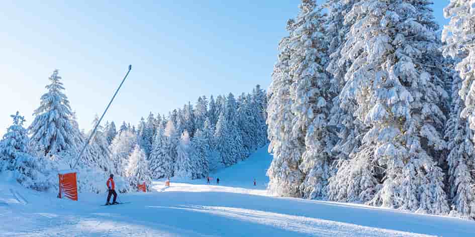 Sur le domaine skiable de la station.