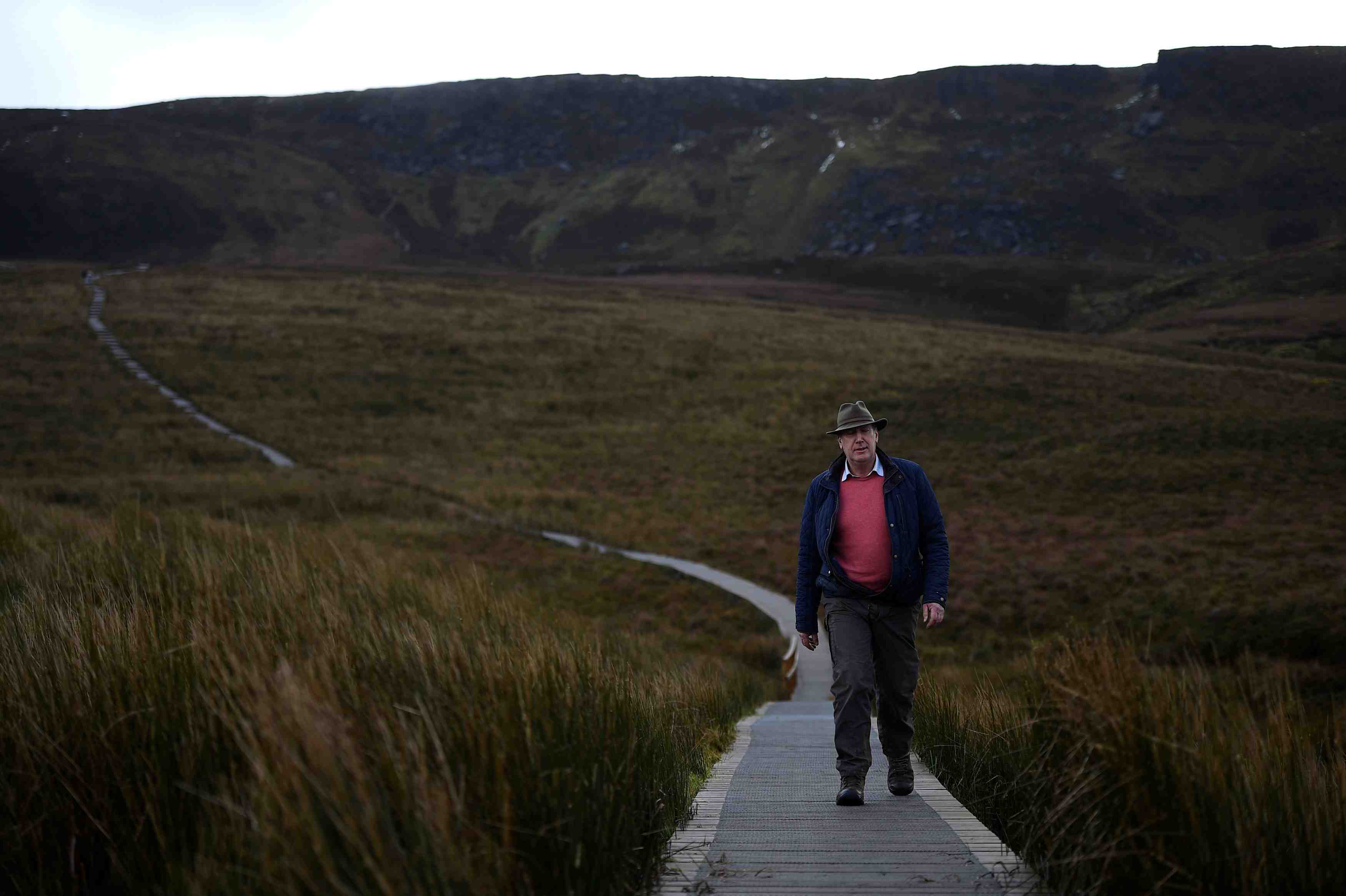 Les eleveurs d'ulster accroches a la "frontiere invisible"