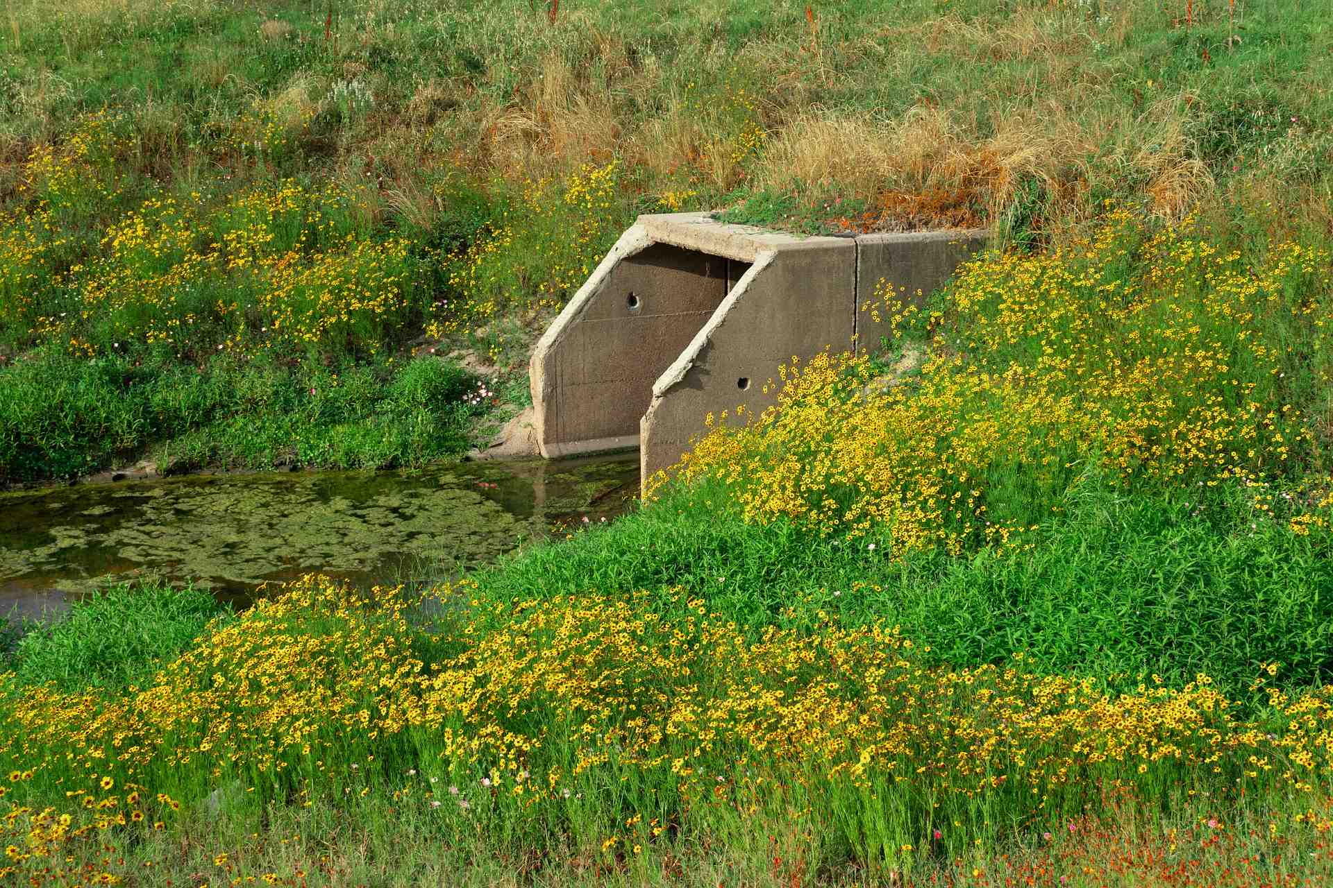 Eaux usées