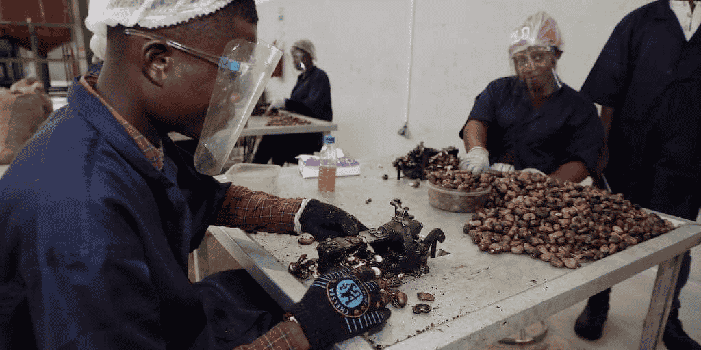 anacarde noix de cajou cita cote d'ivoire