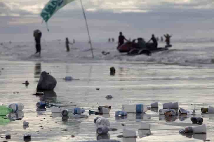Le wwf prone un accord de paris pour les oceans
