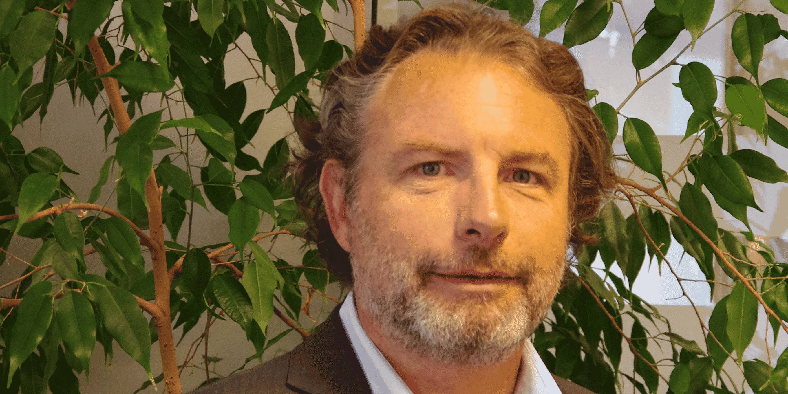 olivier Vallée