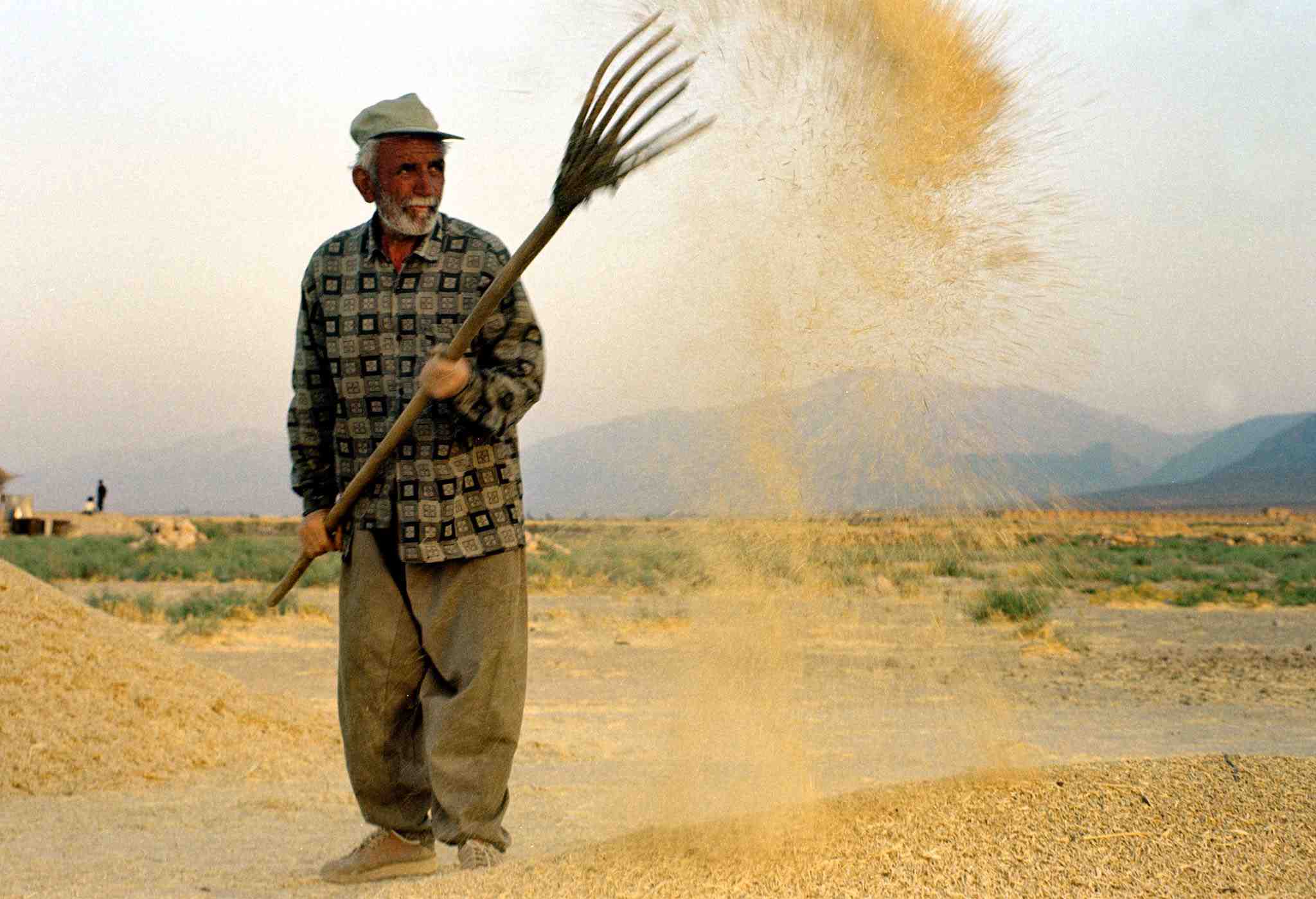 Iran: des manifestations eclatent suite a des penuries d'eau