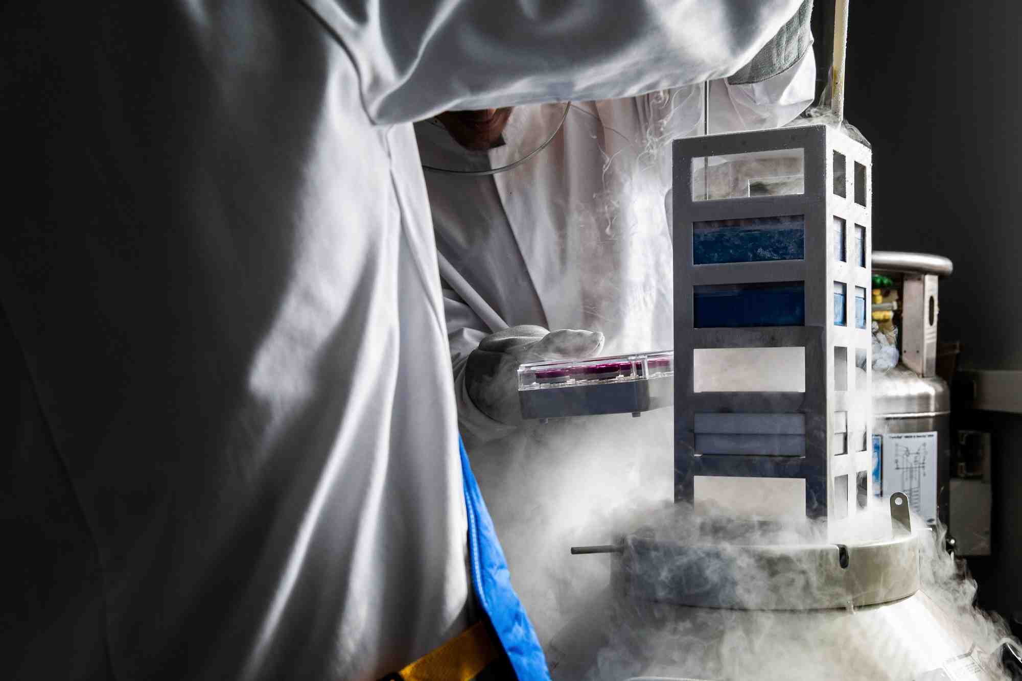 Cell-Easy va approvisionner le CHU de Toulouse en cellules souches issues du tissu adipeux.
