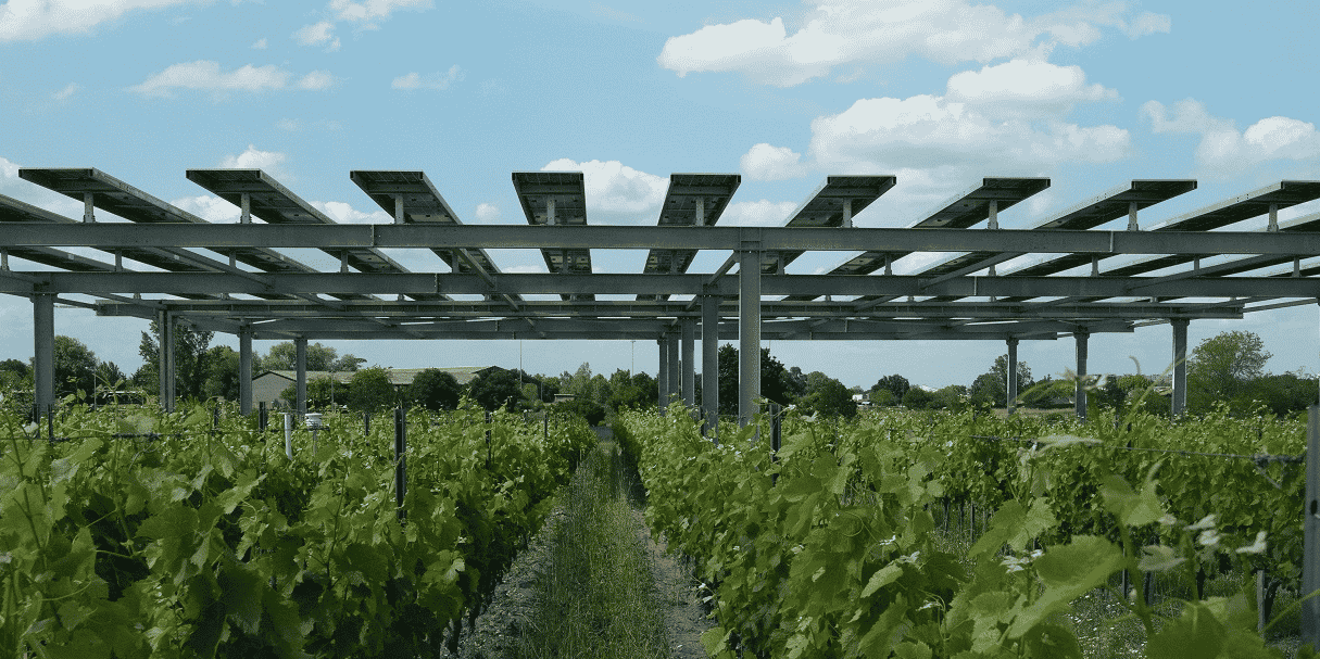 Les panneaux solaires de Vitisolar en position rabattue sur leur structure.