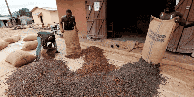 Ghana cacao