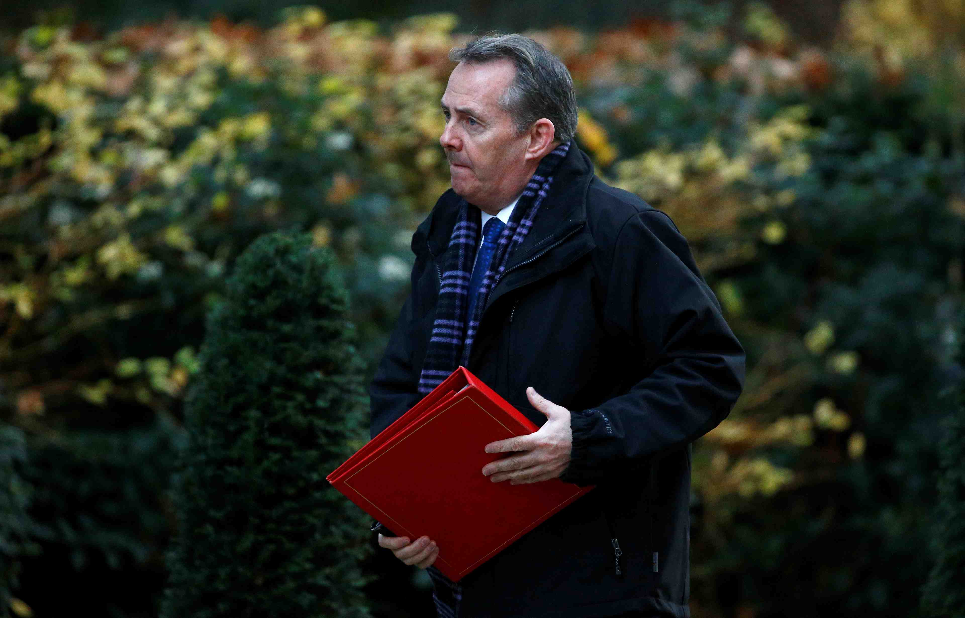 Liam fox redoute que le parlement ne "vole" le brexit au peuple britannique