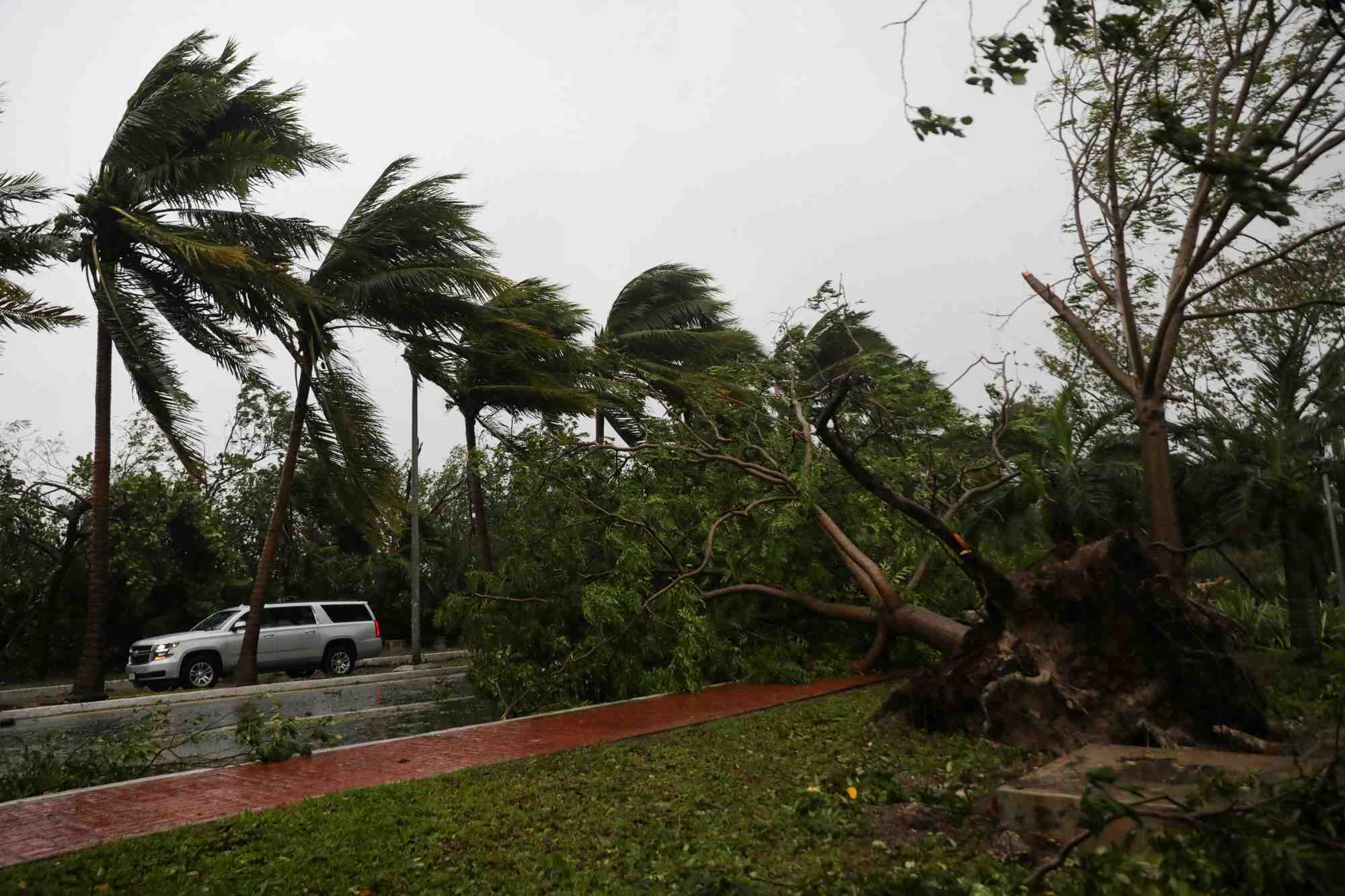 L'ouragan delta a perdu de sa force avant de toucher terre pres de cancun