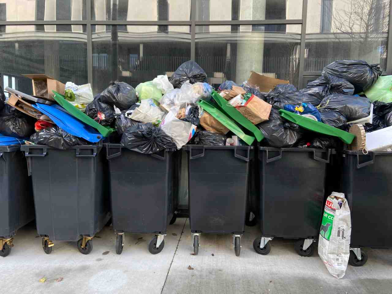 poubelles toulouse