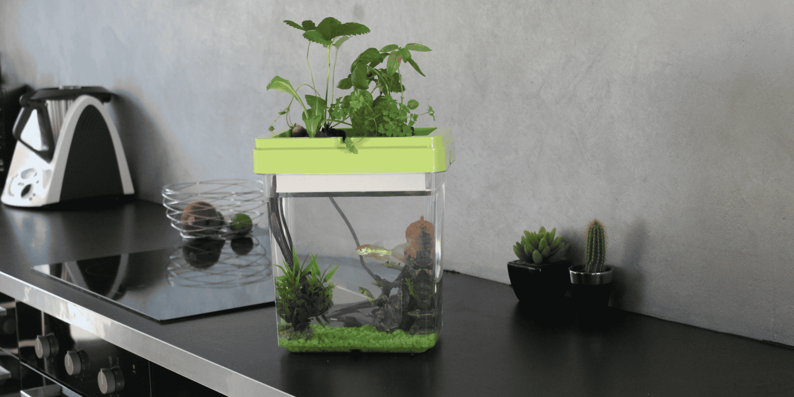ozarium