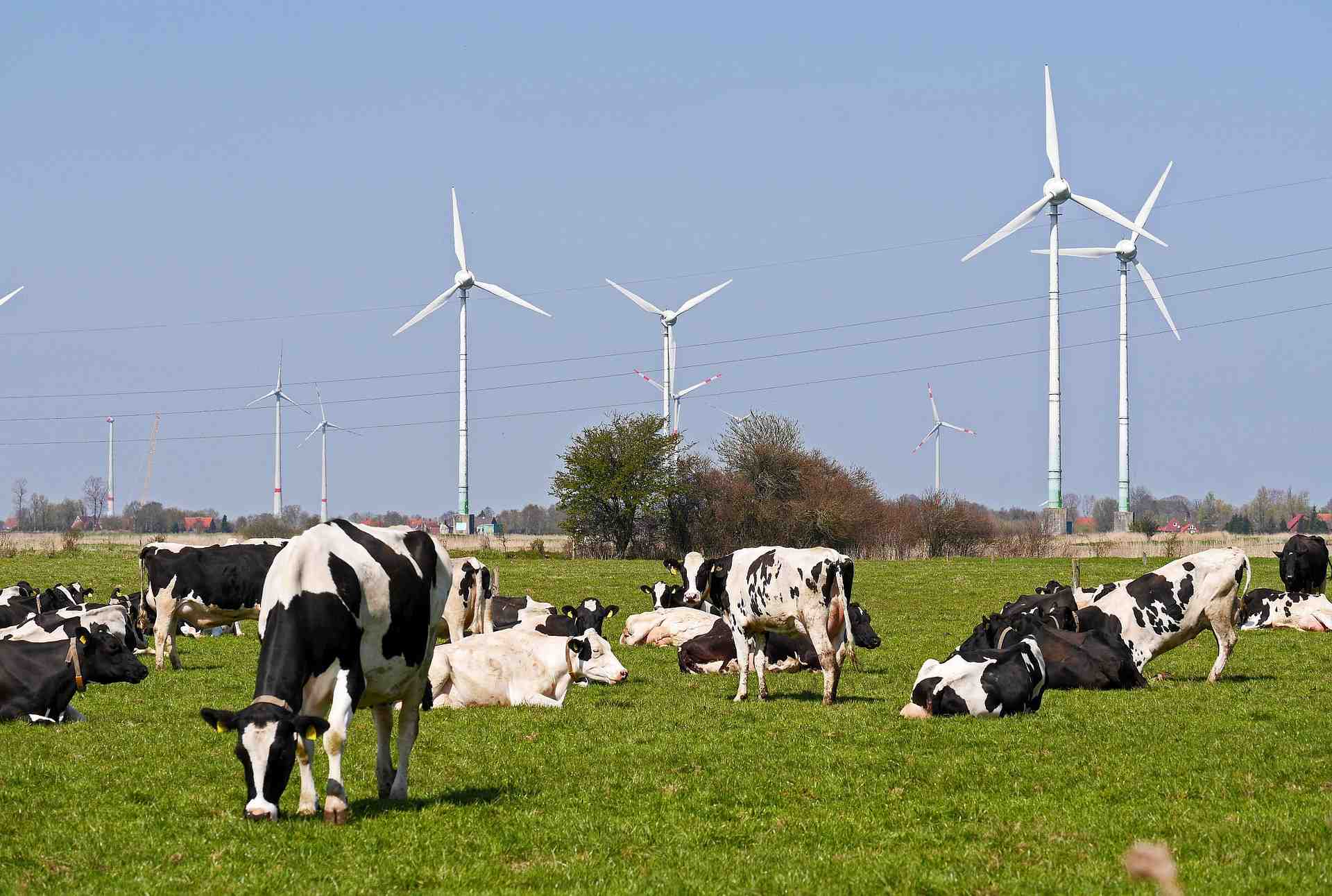Les énergies renouvelables, une opportunité pour le monde agricole