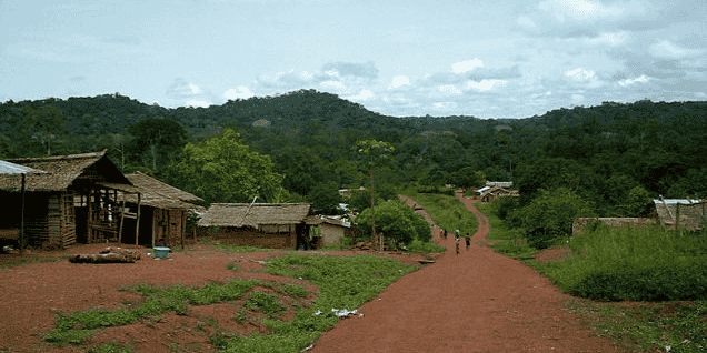 Ngoila Congo forêt