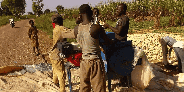 agriculture mais Nigeria