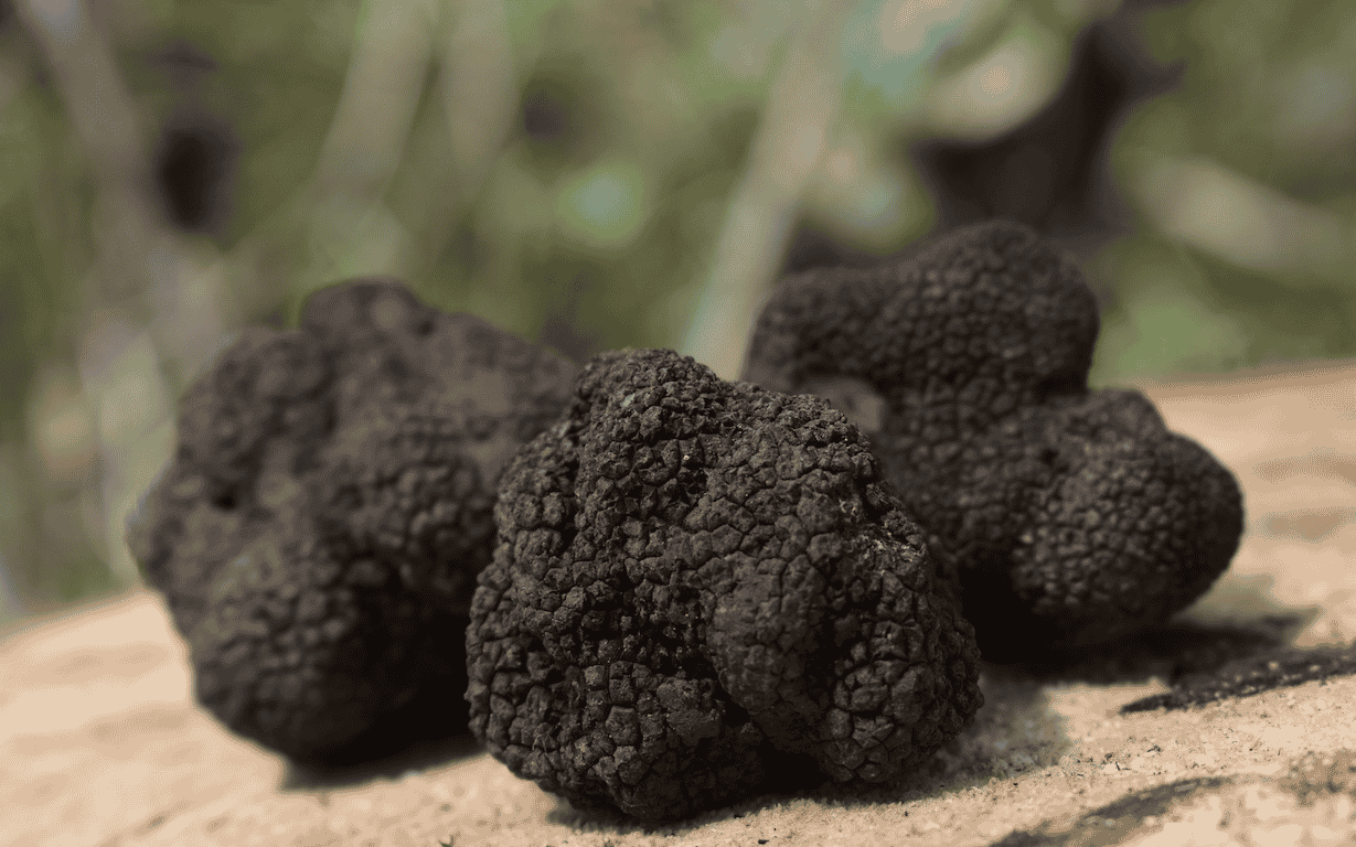 Truffe