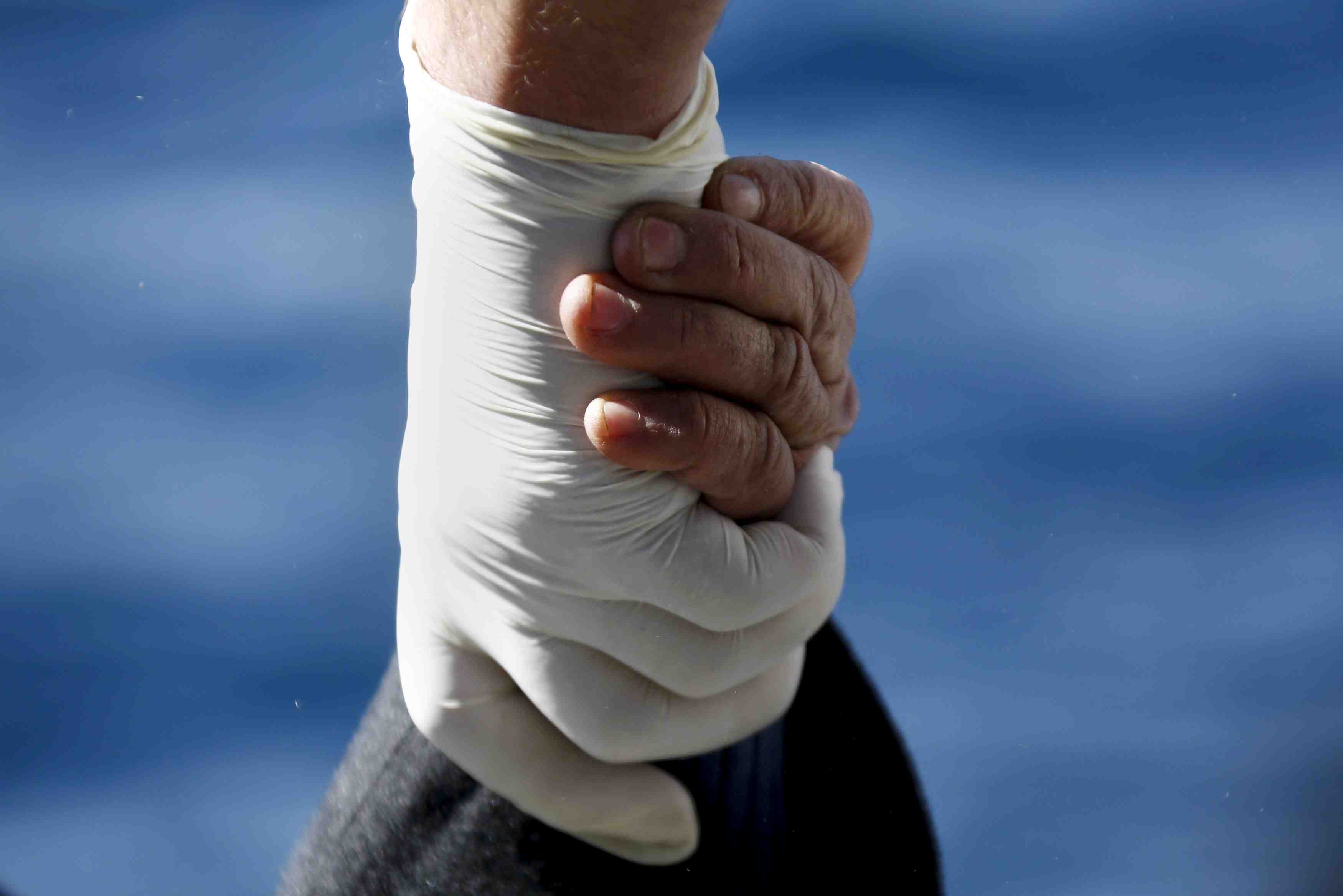 Plus de 76.000 migrants arrives en europe par la mer depuis janvier