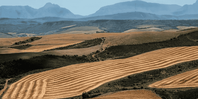 agriculture