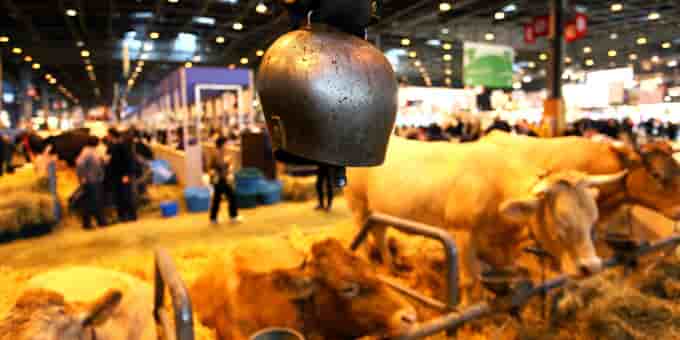 Salon de l'Agriculture 2010 11/15