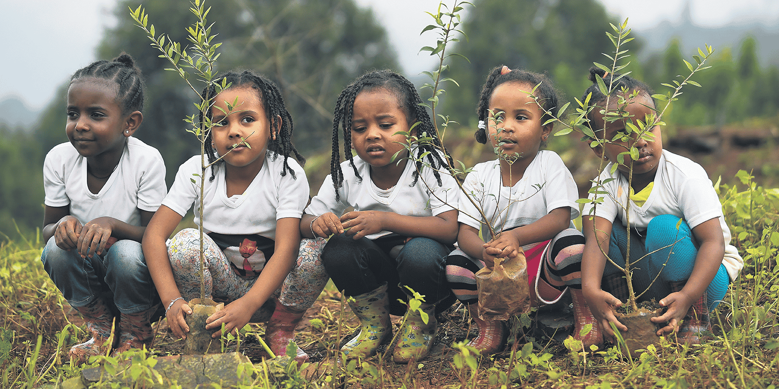 Le 29 juillet, la population éthiopienne a planté 350.000 arbres en 12 heures, dans le cadre du programme gouvernemental visant à atteindre le nombre de 4 milliards au mois d'octobre.