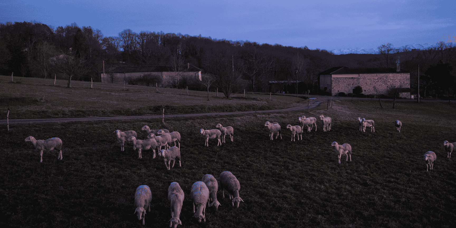 agriculture