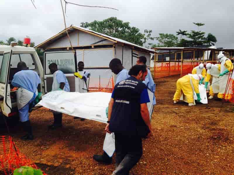 L'épidémie de fièvre Ebola a fait 1.069 morts, selon l'OMS