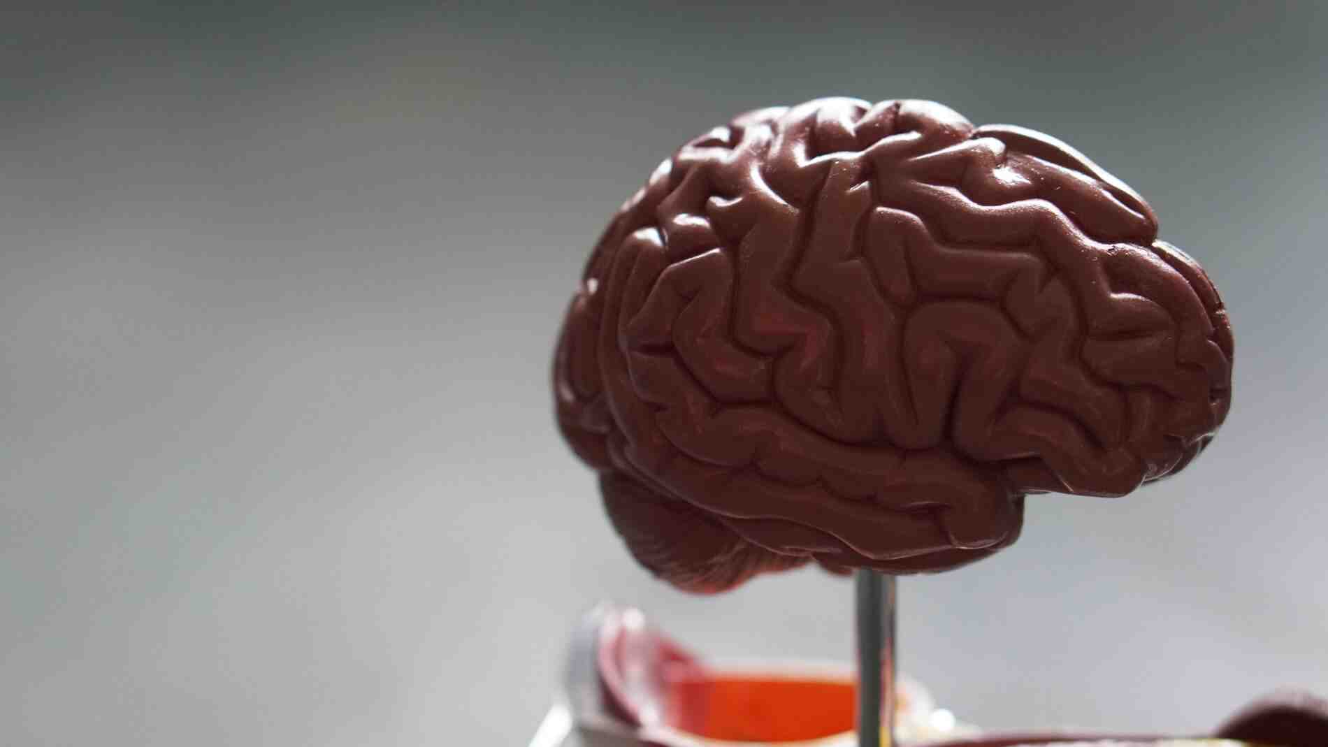 Inclusive Brains développe une IA télépathique