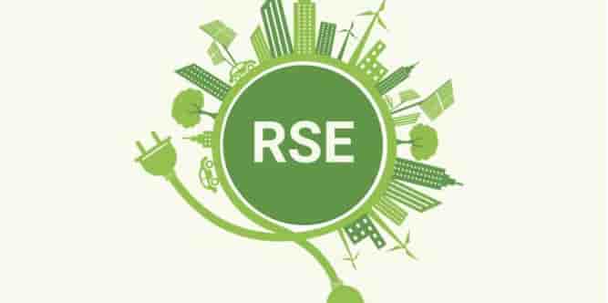Responsabilité sociétale des entreprises, RSE