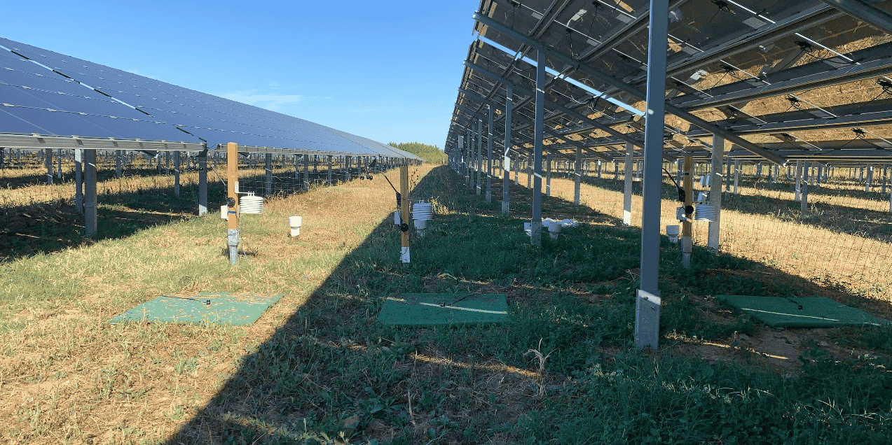 Agrivoltaïsme