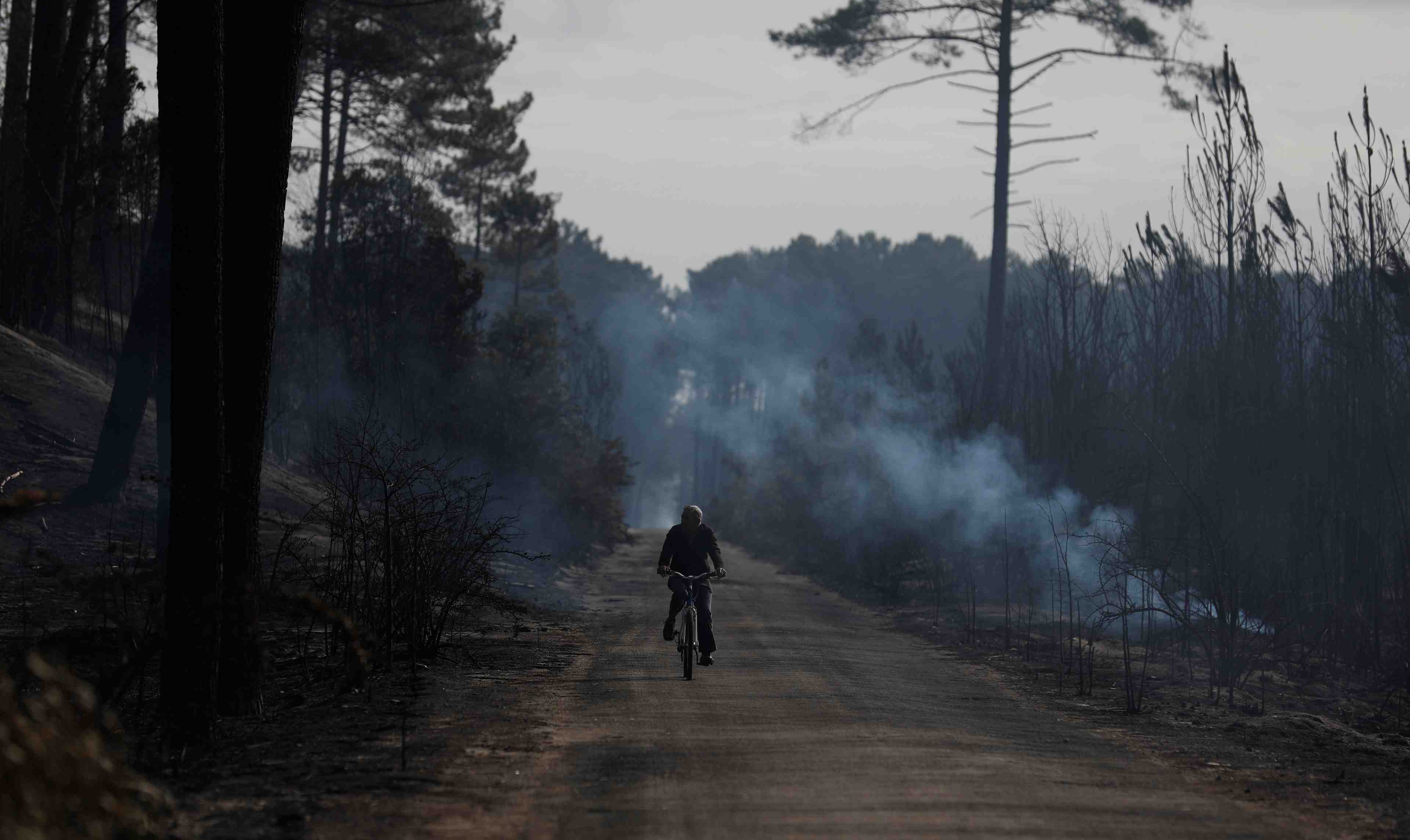 Le gouvernement portugais pointe du doigt apres les incendies