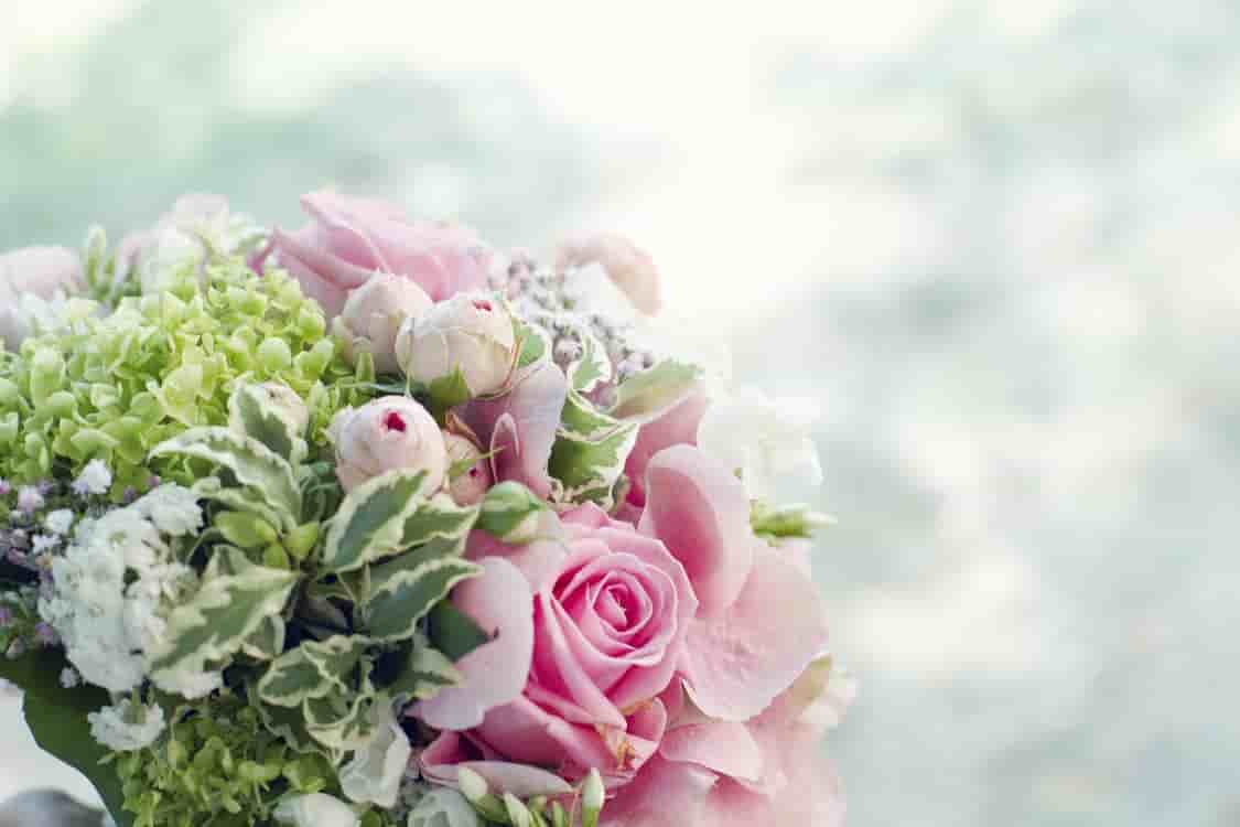Fleurs