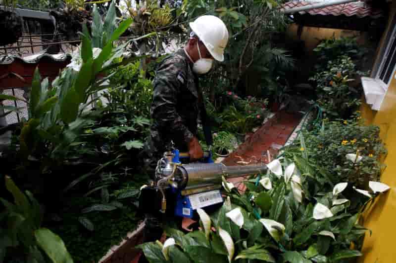 Zika cause 8 cas de microcephalie au honduras