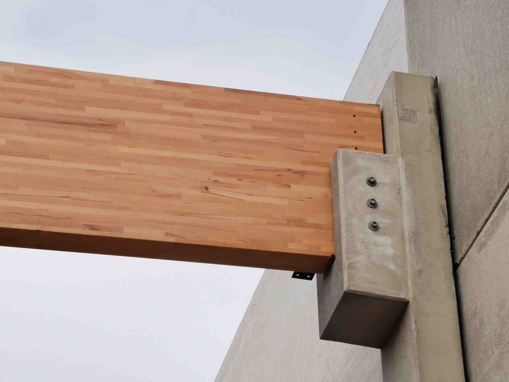 Le hêtre dans la construction