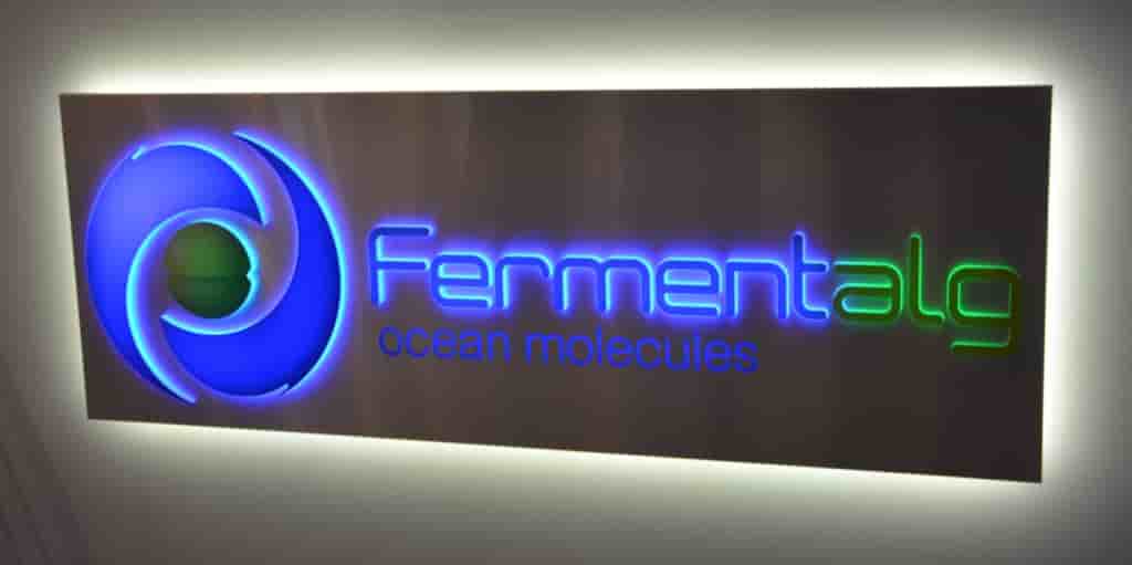 Fermentalg