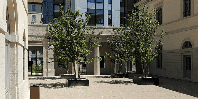 Immeuble Convergence