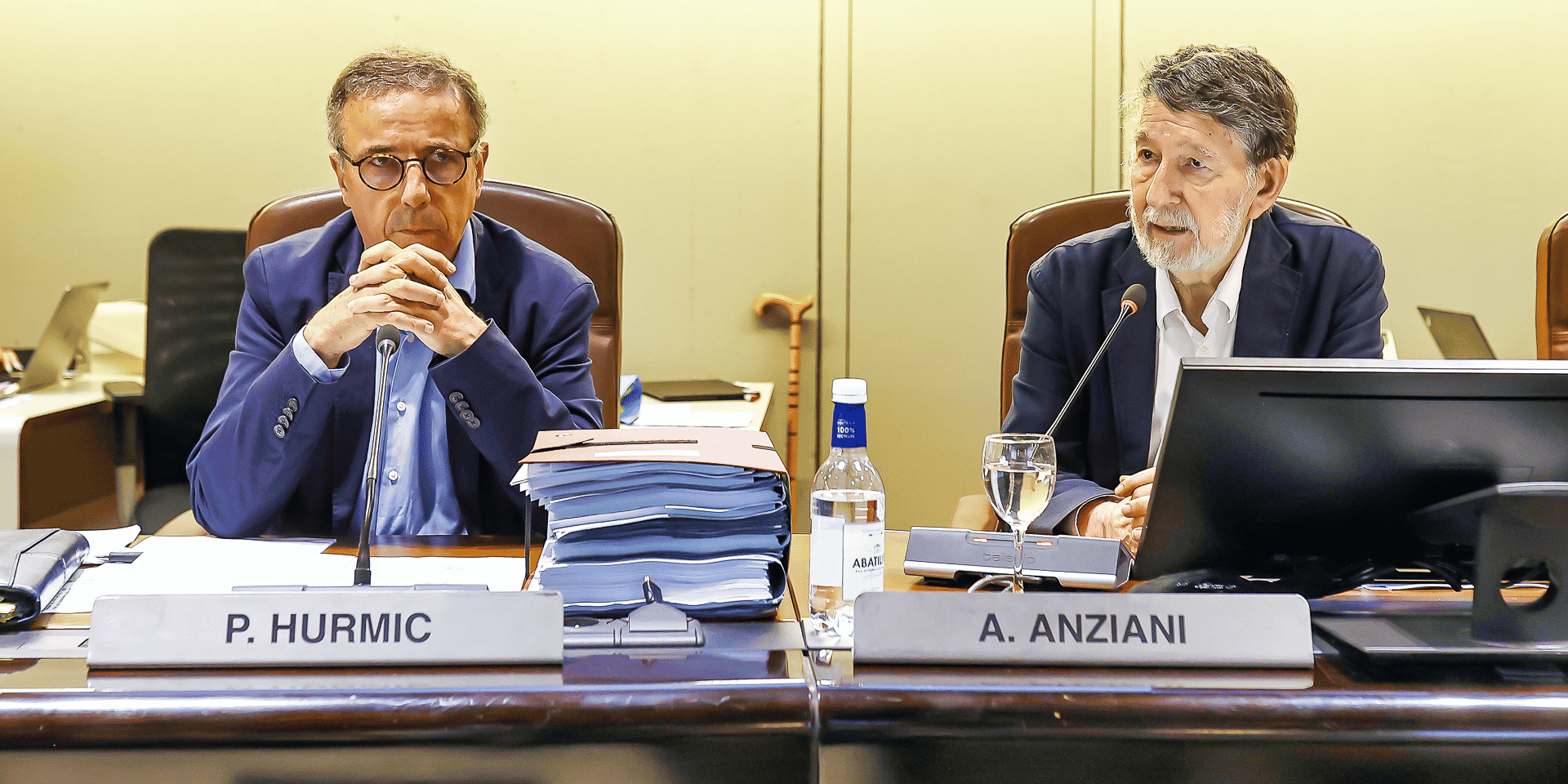Hurmic Anziani