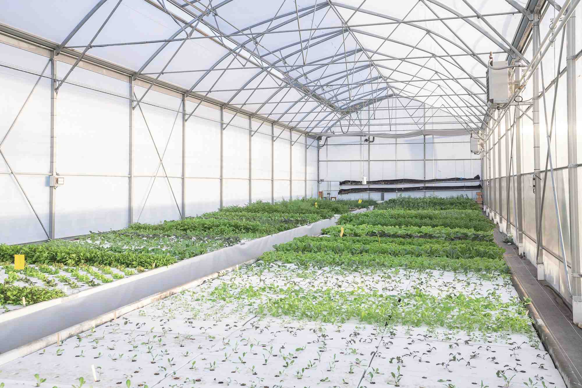 la ferme intégrale