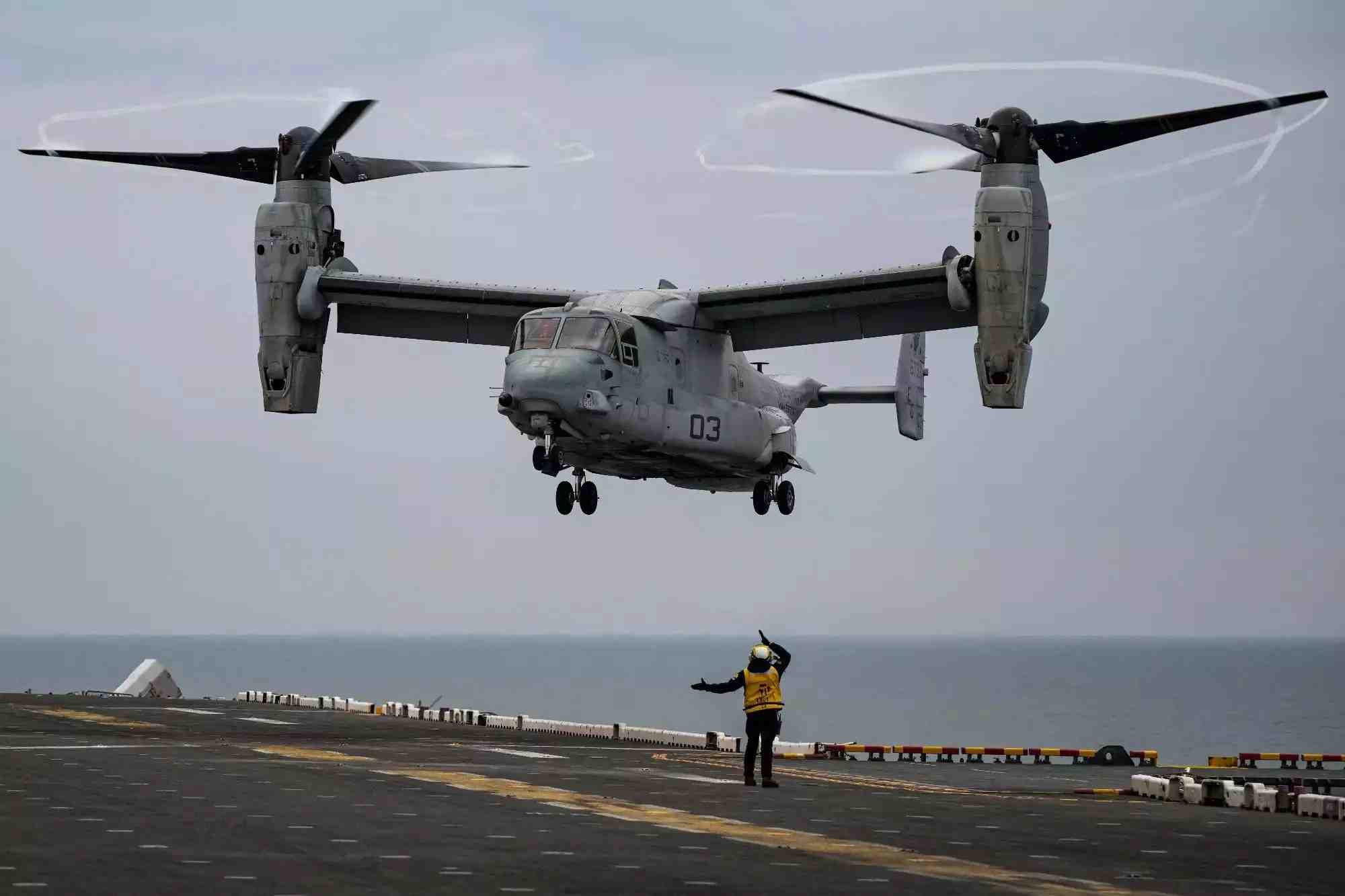 Osprey taking off