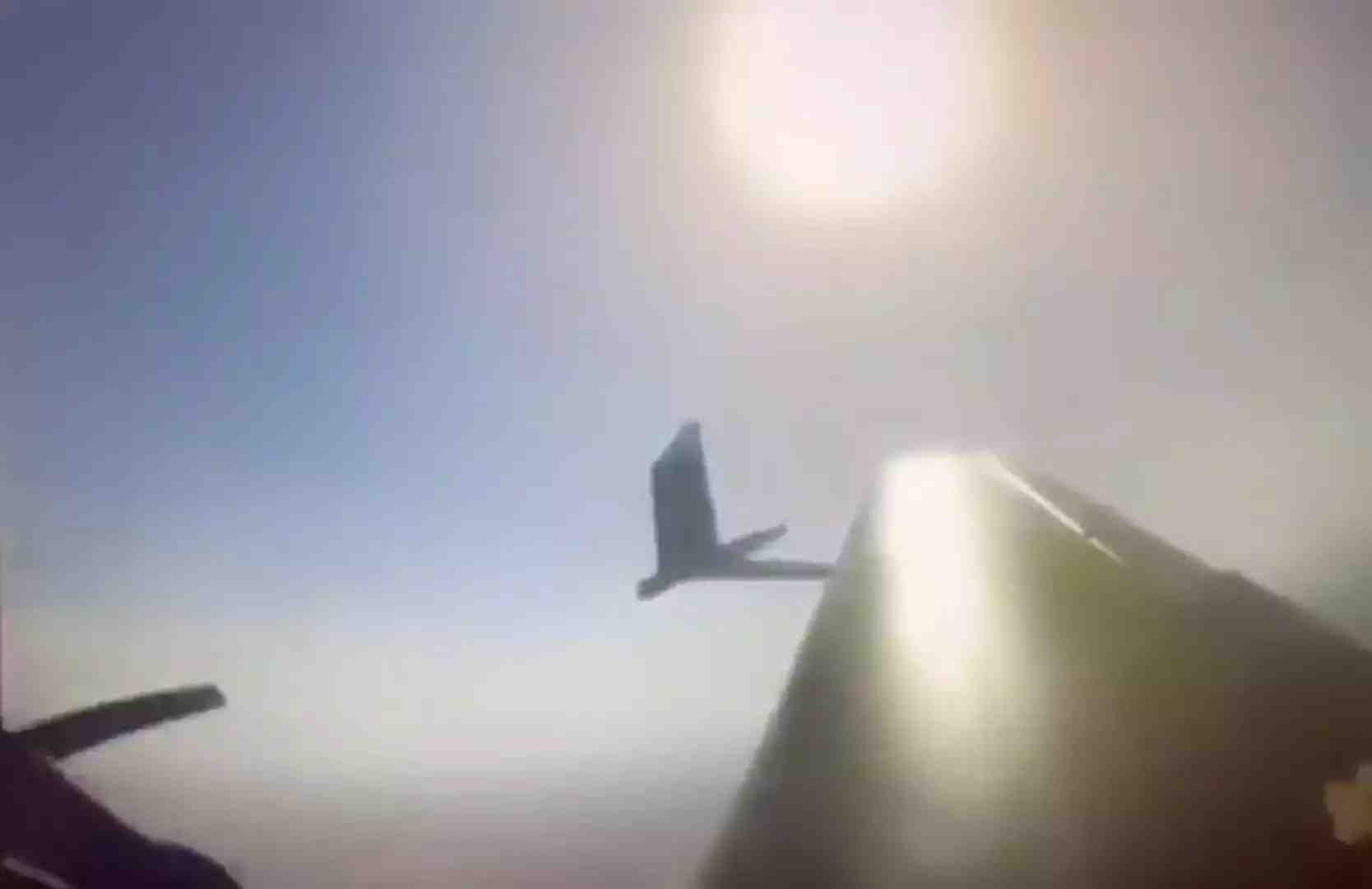 Un pilote de Yak-52 ukrainien s'apprête à couper en deux un drone de reconnaissance russe Zala à l'aide de l'aile droite (tribord) de son avion (16 octobre 2025).