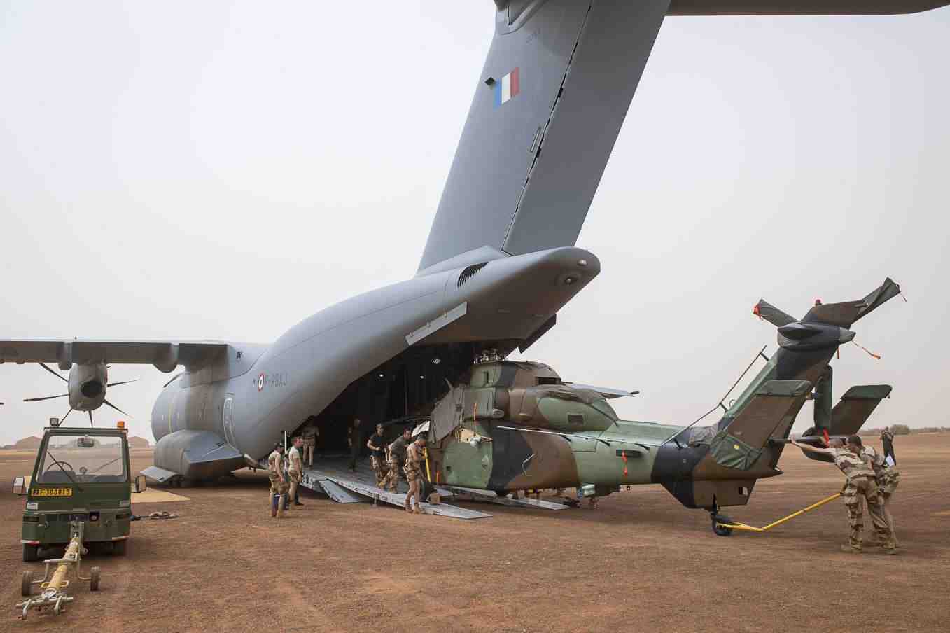 Tiger is offloaded in Gao.