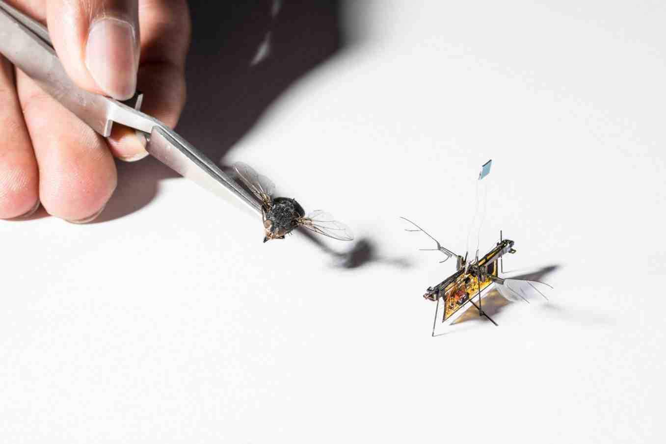 Le RoboFly peut s'envoler grâce à l'énergie laser.