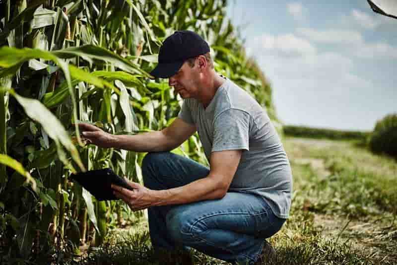 Satellite imagery will help to monitor crop health.