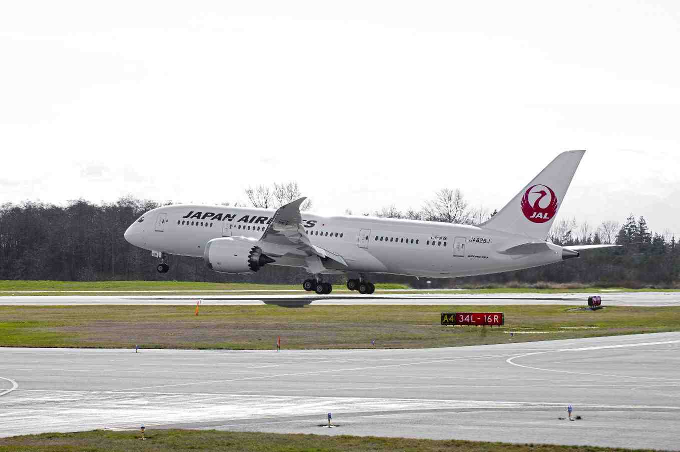 JAL Boeing 787
