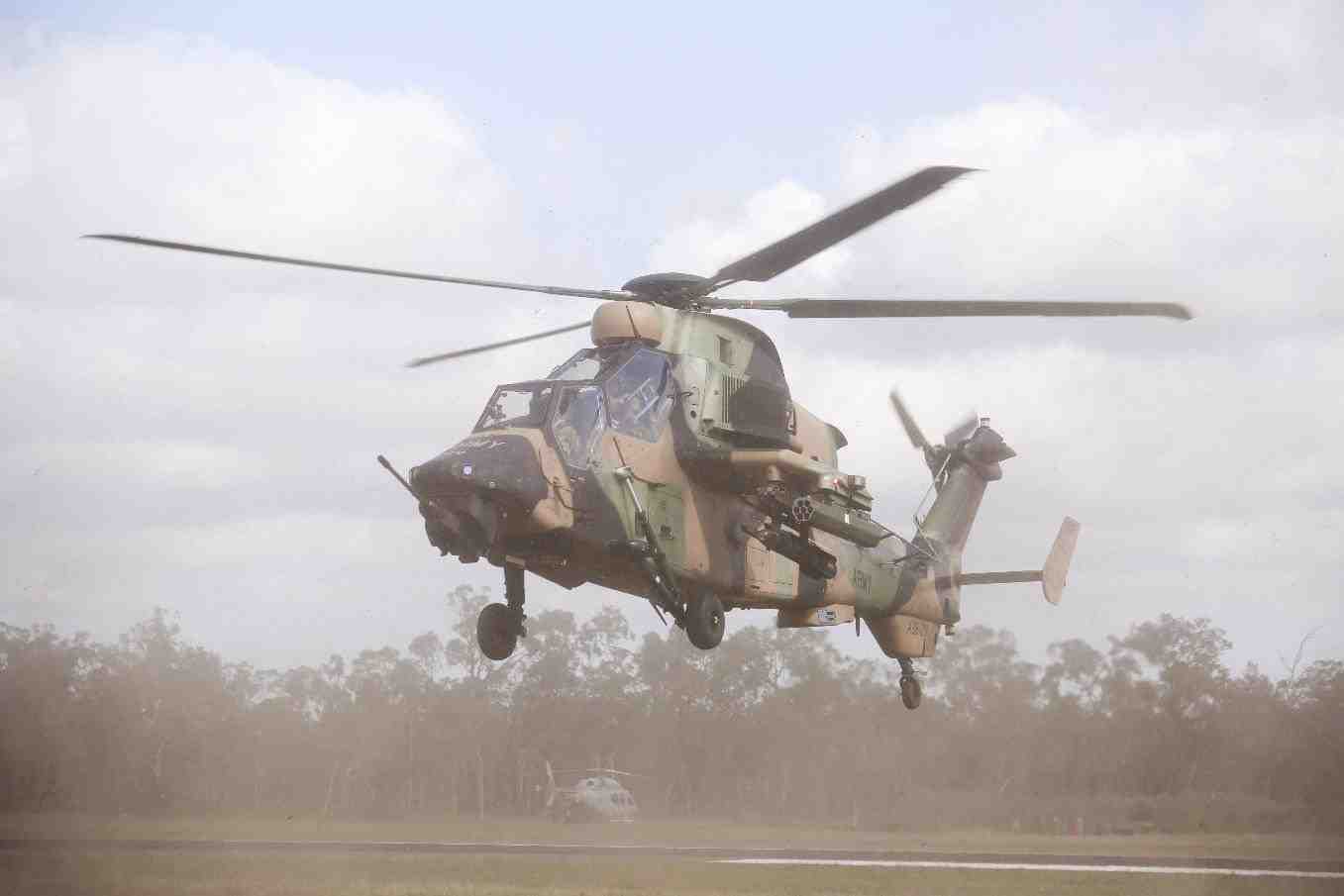 Les Tigre australiens ne sont plus autorisés à voler.