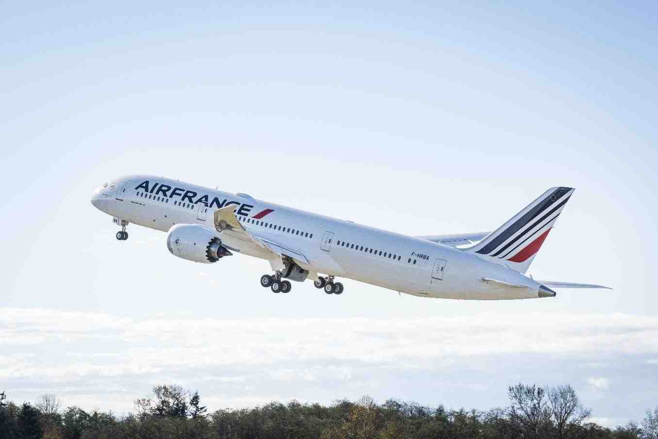 L'impact des attentats et le fort recul de la recette unitaire ont fait fondre le chiffre d'affaires passagers de 859 M€ par rapport à 2015.