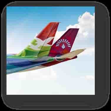 Air Madagascar et Air Seychelles sont toutes les deux membres de l'alliance Vanille, conclue en 2015.