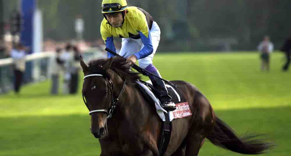 Yutaka Take a gagné des milliers de coursessauf le Prix de l’Arc de Triomphe.