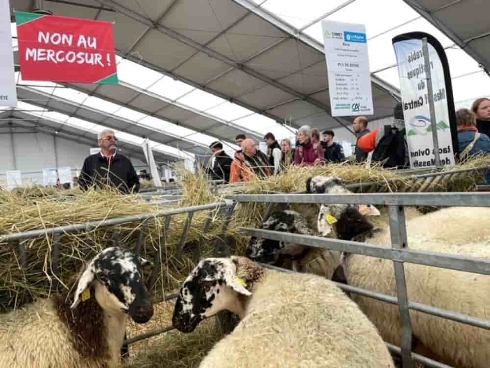 " Notre seule boussole reste la défense de nos agriculteurs face à la concurrence déloyale", a martelé Benjamin Haddad, ministre chargé de l'Europe.