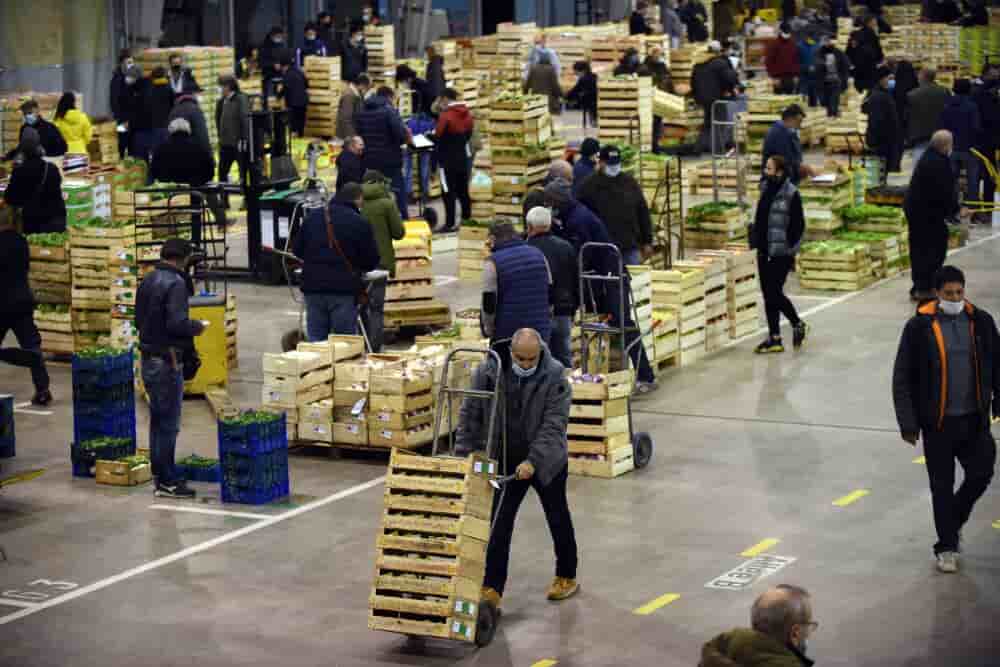 ©DENISE ROSSANO/MAXPPP - PHOTO DENISE ROSSANO LE 20 11 2020 En cette période de re confinement, le MIN, Marché d'intérêt national, de Toulouse, le deuxième plus grand France après celui de -Rungis, tire son épingle du jeu. Car le nombre de ses...