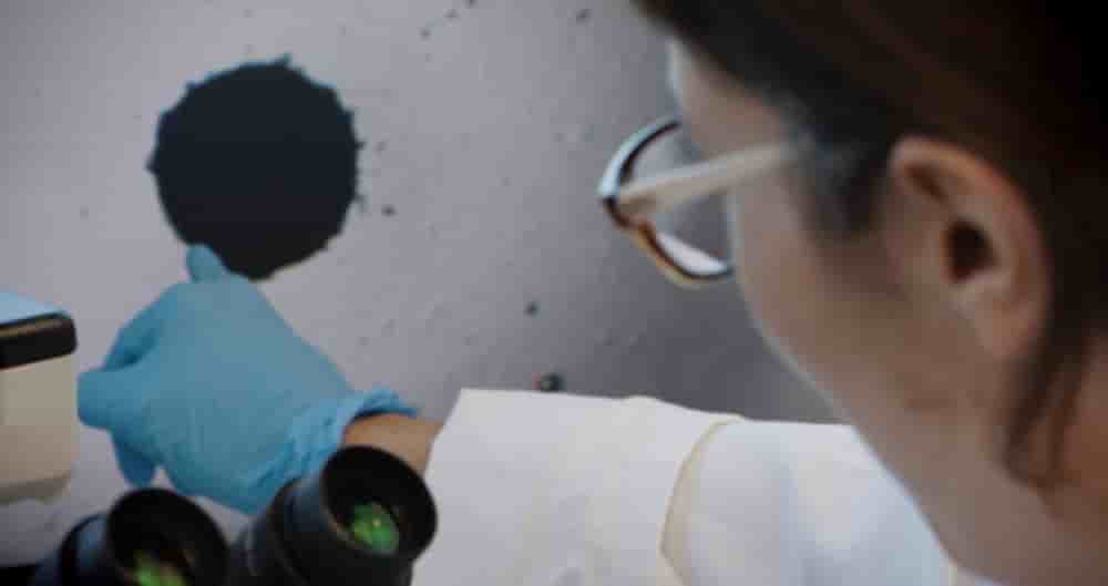 En permettant de générer, à partir d’un simple échantillon de sang, des avatars de foie personnalisés, PredictCan Biotechnologies veut simuler la réaction d’un patient à un médicament avant même les essais cliniques, coûteux et risqués.